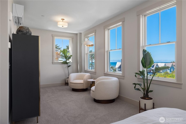 106 Market St, Pacific Beach, WA 98571 - photo 22