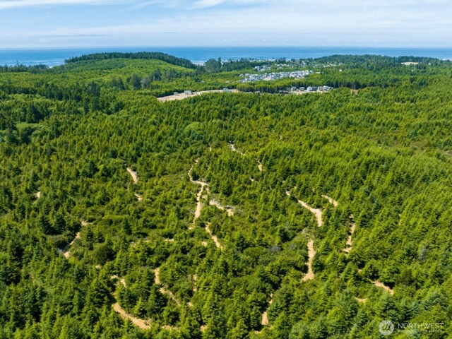106 Market St, Pacific Beach, WA 98571 - photo 40