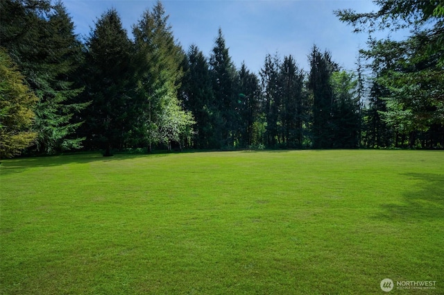 10184 State Route 101, Raymond, WA 98577 - photo 5