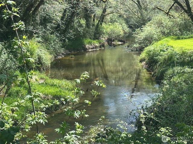 10184 State Route 101, Raymond, WA 98577 - photo 2