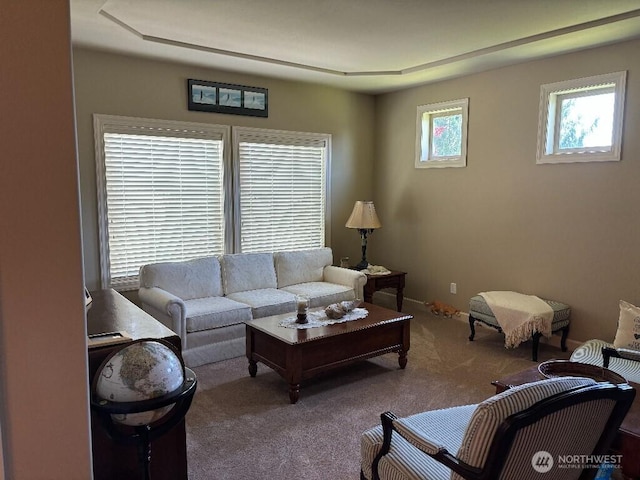 2702 N Levi St, Kennewick, WA 99338 - view of carpeted living room