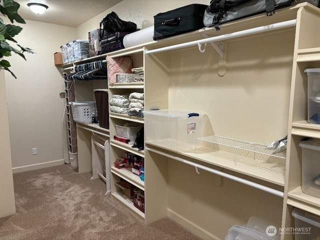 2702 N Levi St, Kennewick, WA 99338 - walk in closet featuring carpet flooring