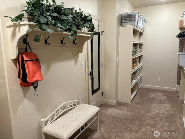 2702 N Levi St, Kennewick, WA 99338 - mudroom with carpet floors