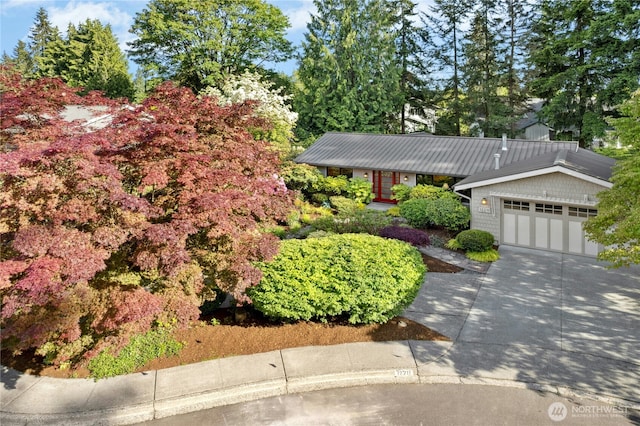 12211 SE 65th Pl, Bellevue, WA 98006 - view of front of property with concrete driveway, a garage, and metal roof