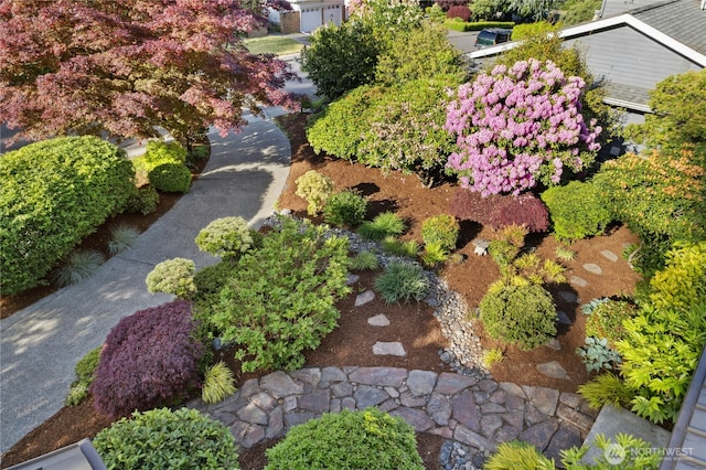 12211 SE 65th Pl, Bellevue, WA 98006 - view of yard