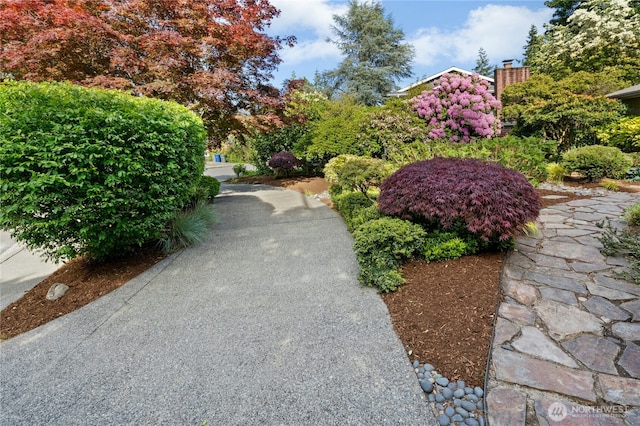 12211 SE 65th Pl, Bellevue, WA 98006 - view of yard