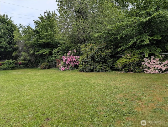1003 Irving St SW, Tumwater, WA 98512 - photo 10