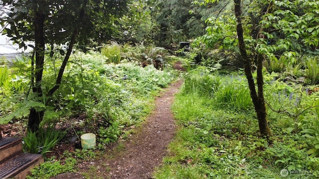 7611 Brown Rd SW, Olympia, WA 98512 - view of nature