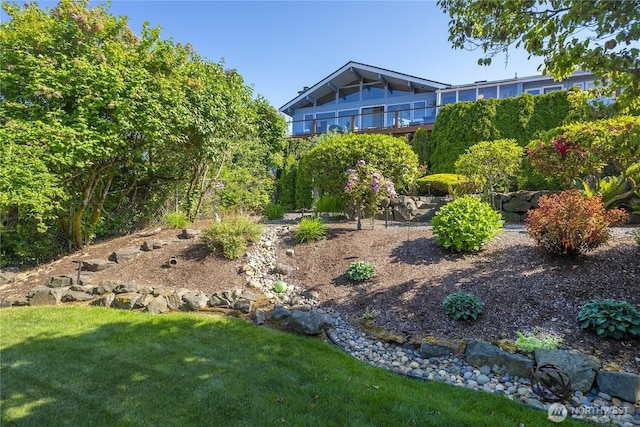 245 SW 298th Pl, Federal Way, WA 98023 - view of green lawn
