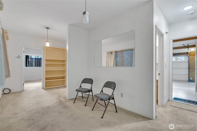 11120 SE 234th Pl, Kent, WA 98031 - living area with carpet floors