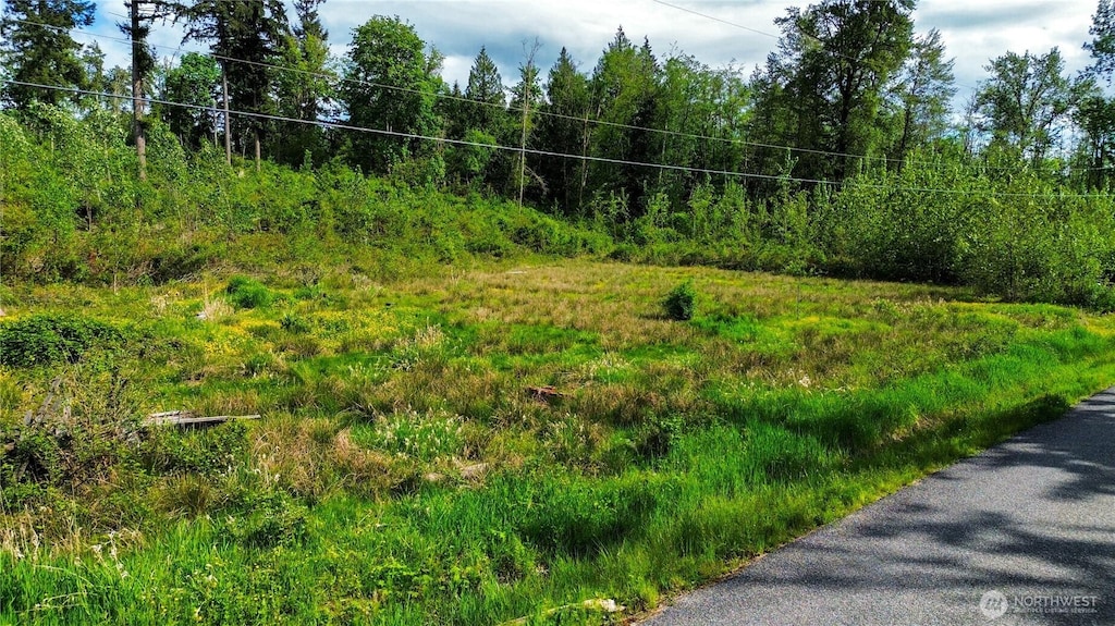 3955 Humphrey Hill Rd, Sedro Woolley, WA 98284 - photo 4