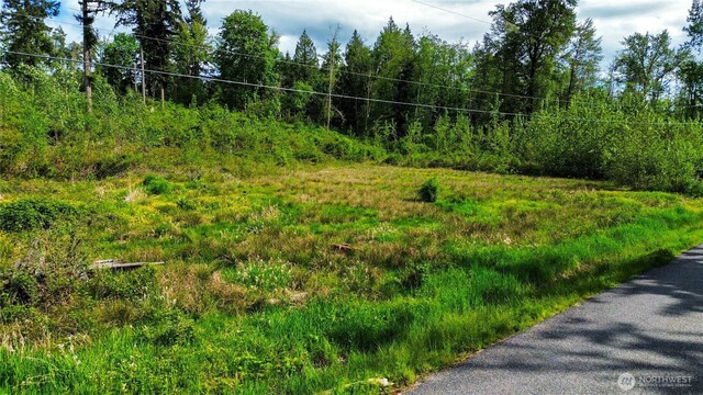 3955 Humphrey Hill Rd, Sedro Woolley, WA 98284 - photo 4
