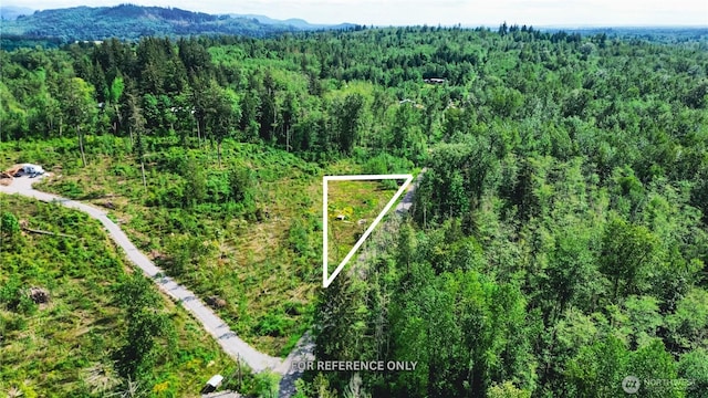 3955 Humphrey Hill Rd, Sedro Woolley, WA 98284 - photo 1