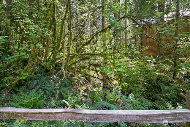 7117 Rainier Way, Deming, WA 98244 - view of woods