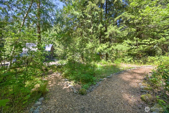 7117 Rainier Way, Deming, WA 98244 - view of yard featuring a view of trees