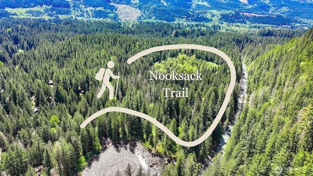 7117 Rainier Way, Deming, WA 98244 - aerial view of a forest