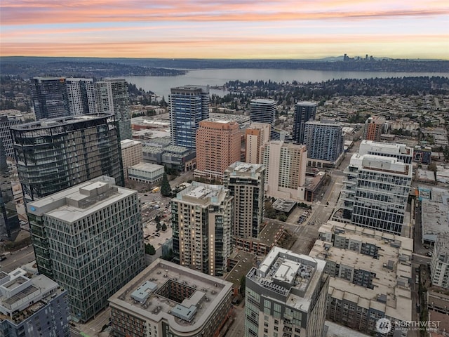 city view with a nearby body of water