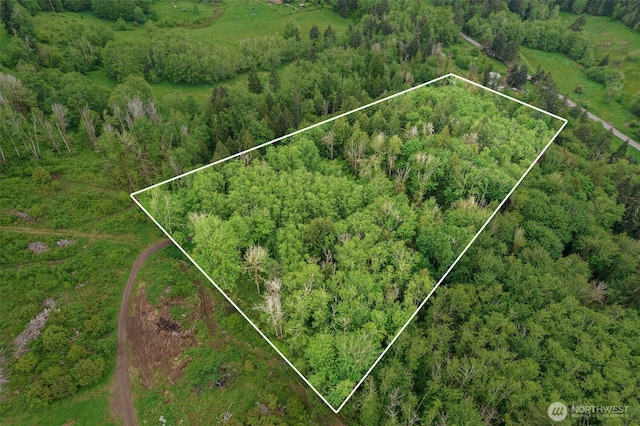0 Salmon Creek Rd, Mossyrock, WA 98564