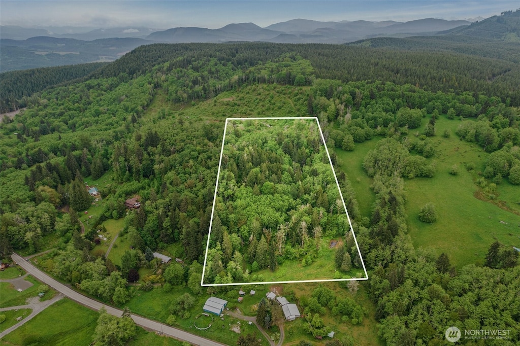 0 Salmon Creek Rd, Mossyrock, WA 98564
