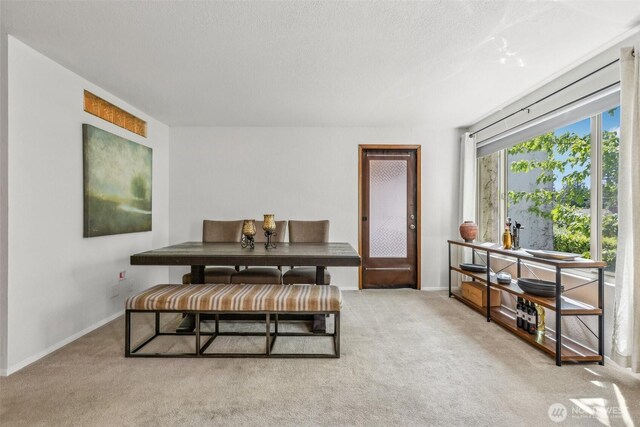 132 N 132nd Unit 202, Seattle, WA 98133 - dining room with carpet flooring, baseboards, and a textured ceiling