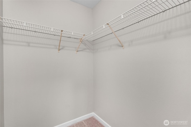 33020 10th Ave SW Unit Y304, Federal Way, WA 98023 - walk in closet featuring carpet floors