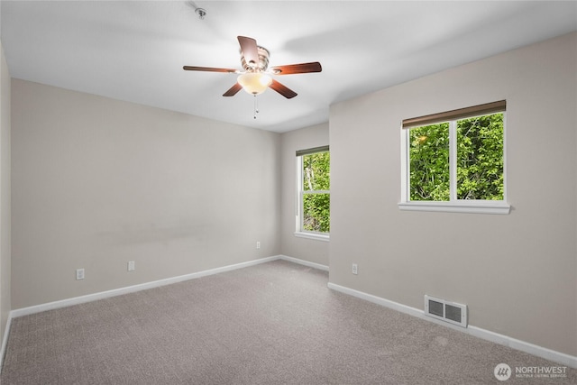 33020 10th Ave SW Unit Y304, Federal Way, WA 98023 - empty room with healthy amount of natural light, baseboards, ceiling fan, and carpet flooring