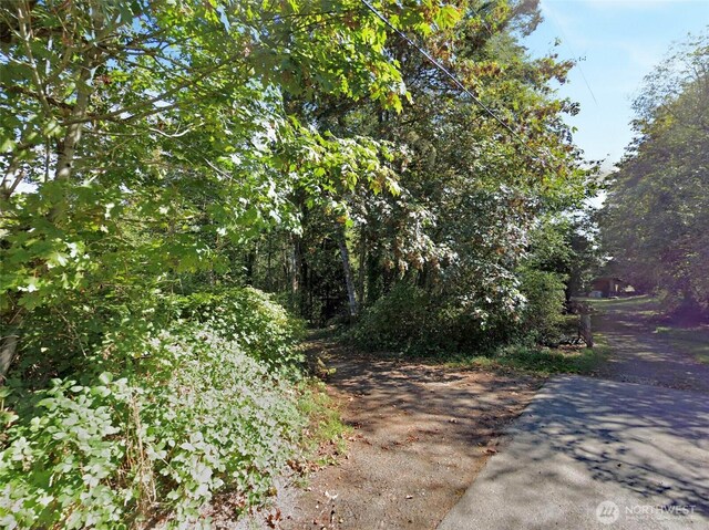 4489 Aiken Rd SE, Port Orchard, WA 98366 - photo 14