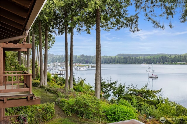 131 N Bay Ln Unit 4, Port Ludlow, WA 98365 - water view with a heavily wooded area