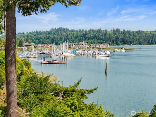 131 N Bay Ln Unit 4, Port Ludlow, WA 98365 - water view featuring a forest, a floating dock, and a marina