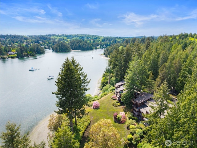131 N Bay Ln Unit 4, Port Ludlow, WA 98365 - aerial view of a nearby body of water and a forest