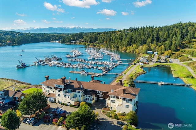 131 N Bay Ln Unit 4, Port Ludlow, WA 98365 - bird's eye view of a forest, a nearby body of water, and numerous boat docks