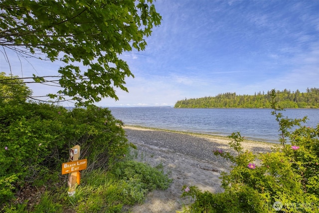 131 N Bay Ln Unit 4, Port Ludlow, WA 98365 - water view featuring local beach