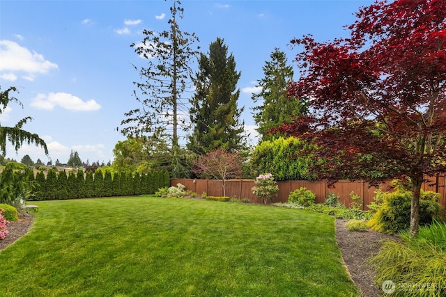 2512 Taylor Dr, Everett, WA 98203 - view of fenced backyard