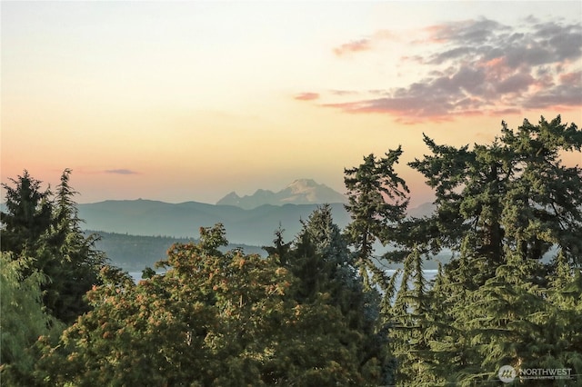 2512 Taylor Dr, Everett, WA 98203 - view of mountain backdrop