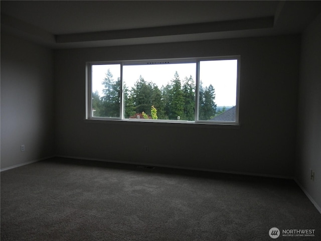7819 Amethyst Loop NW, Silverdale, WA 98383 - empty room with carpet floors and baseboards