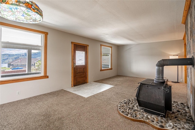 595 Division St, Manson, WA 98831 - entryway featuring a wood stove, carpet floors, and a textured ceiling