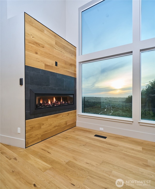 27208 J Ln, Ocean Park, WA 98640 - detailed view of a fireplace, wood finished floors, and baseboards