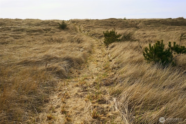 27208 J Ln, Ocean Park, WA 98640 - view of undeveloped land