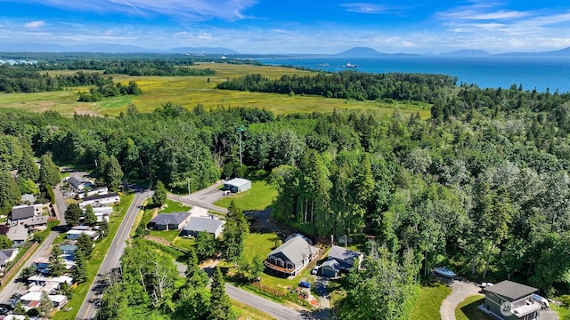5496 Grandview Rd, Blaine, WA 98230 - aerial view of property's location featuring a water and mountain view