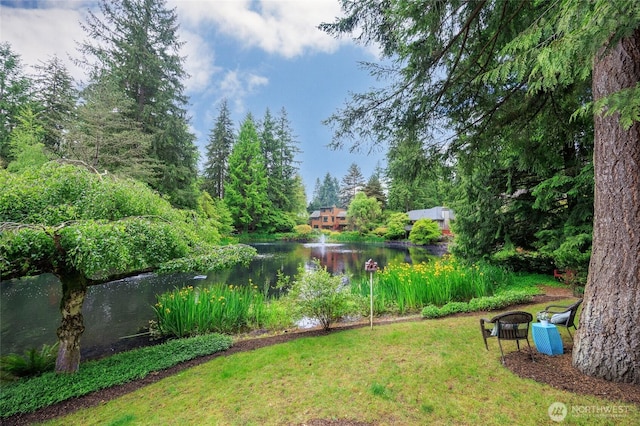 11423 NE 104th St, Kirkland, WA 98033 - view of grassy yard with a water view