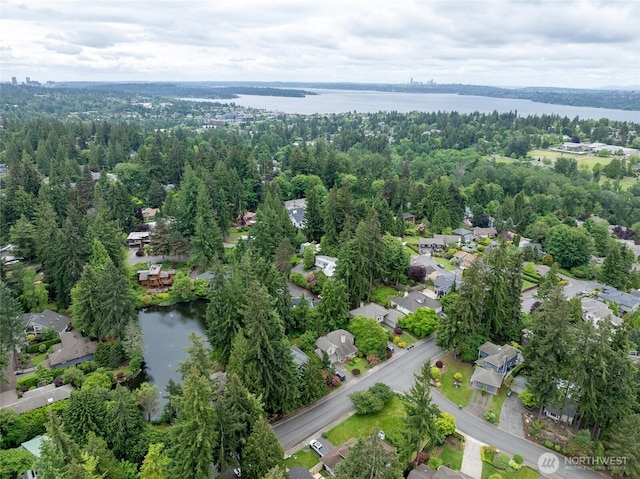 11423 NE 104th St, Kirkland, WA 98033 - aerial view of property's location featuring a large body of water and nearby suburban area