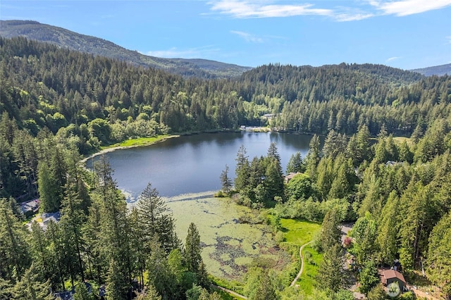 50 Lake Louise Dr, Bellingham, WA 98229 - bird's eye view of a heavily wooded area and a water and mountain view