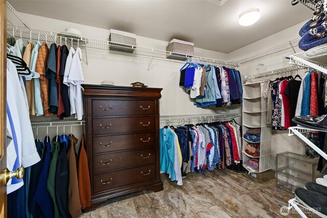 3924 Montgomery Ct, Mount Vernon, WA 98274 - view of walk in closet