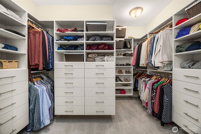 spacious closet with carpet