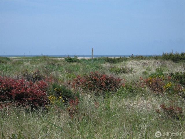 31105 G St, Ocean Park, WA 98640