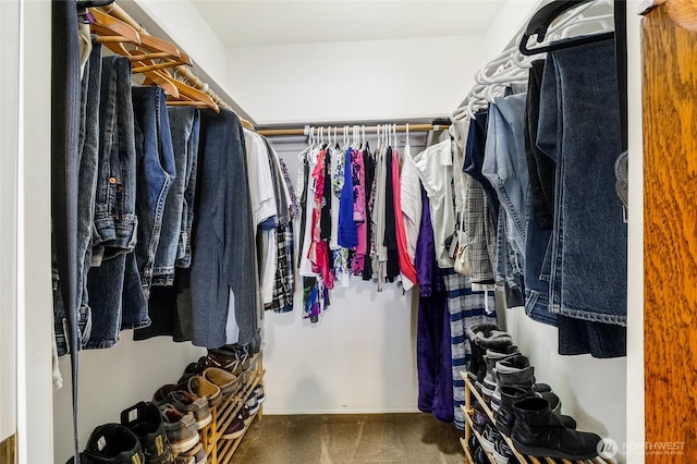 1811 Hundley Rd, Cle Elum, WA 98922 - walk in closet featuring carpet flooring