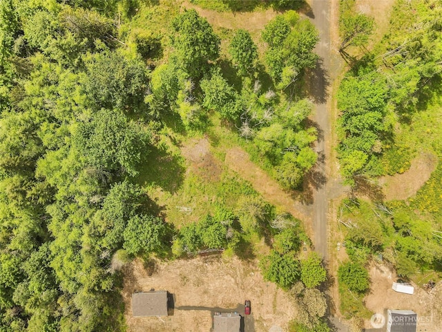 91 E Cascara Cove Ln, Shelton, WA 98584