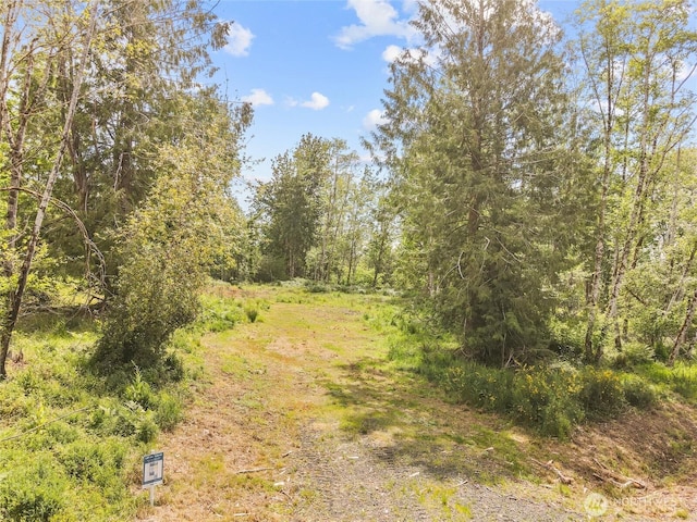 91 E Cascara Cove Ln, Shelton, WA 98584