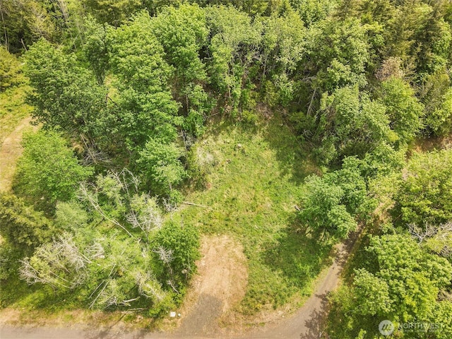 171 E Cascara Cove Ln, Shelton, WA 98584