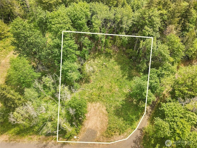 171 E Cascara Cove Ln, Shelton, WA 98584